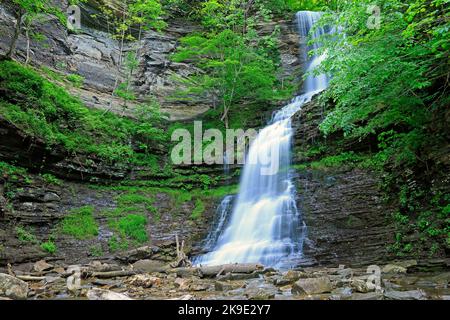 Cathedral Falls - West Virginia Stockfoto