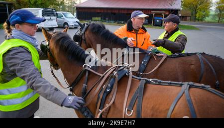 Hansen, Deutschland. 27. Oktober 2022. Klaus-Dieter Gärtner (M), gibt den Kursteilnehmern Johannes Hände (r) und Karin Ludwig Tipps, wie sie die Ponys während des Kurses für den Führerschein A nutzen können.Wer einen Wagen fährt, kann vieles falsch machen. Der Führerschein wurde eingeführt, um die Zahl der Unfälle zu reduzieren. Quelle: Philipp Schulze/dpa/Alamy Live News Stockfoto