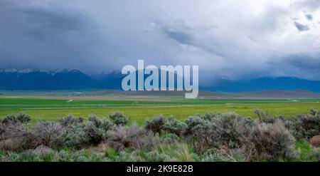 Vorbeiziehende Regenstürme in den Elkhorn Mountains im Osten von Oregon, USA Stockfoto