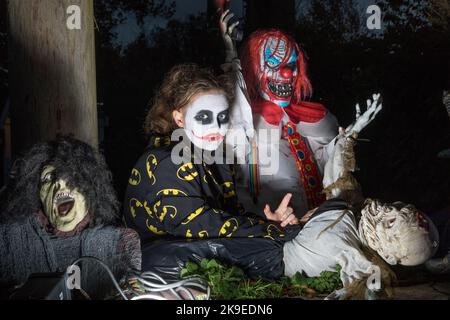 Bartlemy, Cork, Irland. 27.. Oktober 2022. Amanda Bruton als der Joker sich auf das halloween-Wochenende in Bartlemy, Co. Cork, Irland, vorbereitet. - Credit; David Creedon / Alamy Live News Stockfoto