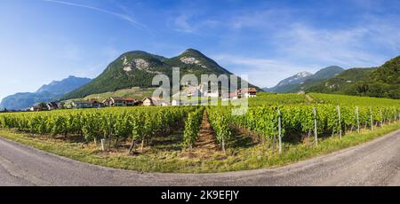 Blick auf die Umgebung von Schloss Aigle in der Schweiz Stockfoto