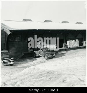 LKW von 'Modins & Bäckmans Spedition' am Laderampe. Stockfoto