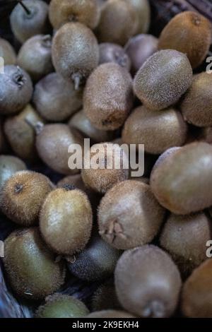 Frankreich, Bretagne, Dinan, die 2021-12-20. Der Jardin de Cocagne de Dinan, ein Mitglied der Réseau Cocagne, ist ein großer städtischer Marktgarten, der auf Orgel basiert Stockfoto