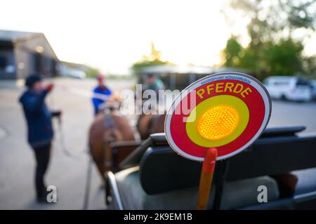 Hansen, Deutschland. 27. Oktober 2022. „Horses“ steht auf einer winkenden Kelle auf dem Kurs für den Führerschein A. jeder, der eine Kutsche fährt, kann viele Dinge falsch machen. Der Führerschein wurde eingeführt, um die Zahl der Unfälle zu reduzieren. Quelle: Philipp Schulze/dpa/Alamy Live News Stockfoto