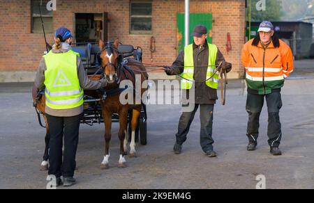 Hansen, Deutschland. 27. Oktober 2022. Klaus-Dieter Gärtner (r), gibt den Kursteilnehmern Johannes Hände (M) und Karin Ludwig Tipps zum Fahren der Ponys während des Kurses zum Führerschein A. Wer einen Wagen fährt, kann vieles falsch machen. Der Führerschein wurde eingeführt, um die Zahl der Unfälle zu reduzieren. Quelle: Philipp Schulze/dpa/Alamy Live News Stockfoto