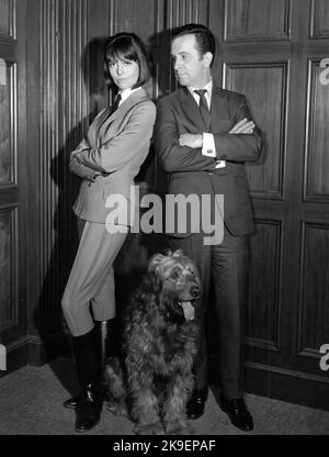 BARBARA FELDON und DON ADAMS in GET SMART (1965), Regie: GARY NELSON, DON ADAMS und BRUCE BILSON. Kredit: CBS TV/NBC/Album Stockfoto