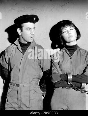 BARBARA FELDON und DON ADAMS in GET SMART (1965), Regie: GARY NELSON, DON ADAMS und BRUCE BILSON. Kredit: CBS TV/NBC/Album Stockfoto