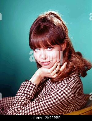 BARBARA FELDON in GET SMART (1965), Regie: GARY NELSON, DON ADAMS und BRUCE BILSON. Kredit: CBS TV/NBC/Album Stockfoto