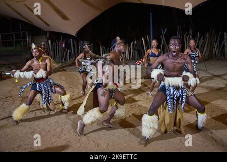 Die Shangaan-Gesangs- und Tanzvorstellung für Touristen, die in Hippo Hollow in der Provinz Mpumalanga übernachten Stockfoto