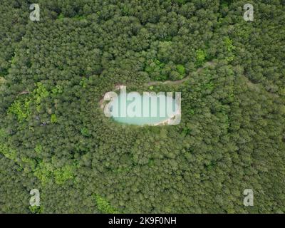Luftsee im Wald. Rundflug von oben nach unten über einen kleinen ovalen See. Aufsteigen, klares türkisfarbenes Wasser des Teiches, umgeben von Bäumen und Stockfoto