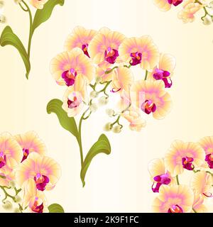 Nahtlose Textur Zweige Orchidee Phalaenopsis gelbe Blumen tropische Pflanzen grünen Stamm und Knospen und Blätter vintage Vektor botanische Illustration für Stock Vektor