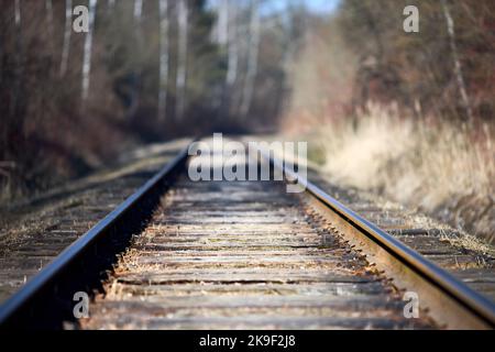 Selektiver Fokus auf gerade Bahn verlassen rostig in der Nähe von Frühlingswald. Leere einspurige Bahn. Perspektivenansicht mit flachem Fokus Stockfoto