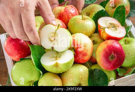 Holzkiste mit verschiedenen roten und grünen Äpfeln Stockfoto