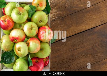 Ernte frische verschiedene rote und grüne Äpfel in Holzkiste auf Holzhintergrund Draufsicht Stockfoto