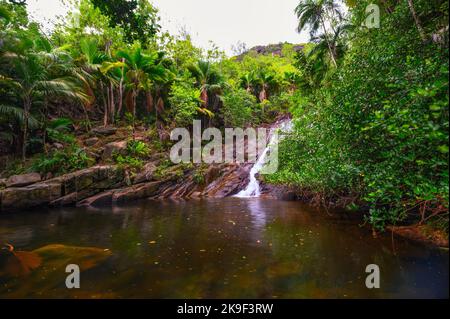 Sauzier Wasserfall auf der Insel Mahe, Seychellen Stockfoto