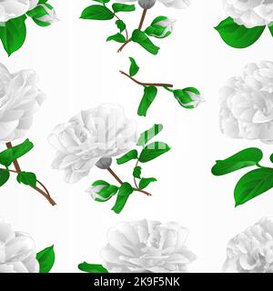 Nahtlose Textur drei weiße Blüten Camellia Japonica mit Knospen vintage Vektor Illustration editierbar Handzeichnungen Stock Vektor