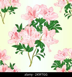 Nahtlose Textur hellrosa Blüten Rhododendron Zweig mit Blättern Bergstrauch vintage Vektor Illustration editierbar Handzeichnen Stock Vektor