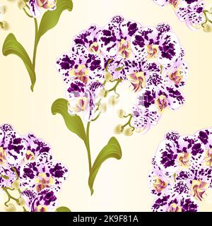 Nahtlose Textur Zweige Orchidee Phalaenopsis gefleckte lila und weiße Blumen tropische Pflanzen grünen Stamm und Knospen und Blätter Vintage Vektor botanica Stock Vektor