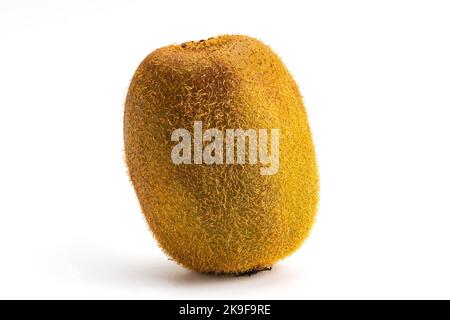 Einzelne frische reife haarige Kiwi-Frucht isoliert auf weißem Hintergrund. Kiwifruit oder chinesische Stachelbeere stammt aus Zentral- und Ostchina. Stockfoto