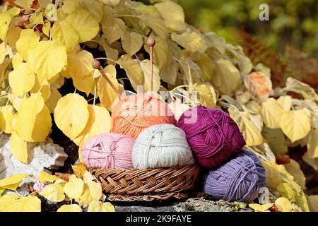 Korb voll von bunten Kugeln aus Garn mit gelben Blättern auf dem Hintergrund Stockfoto