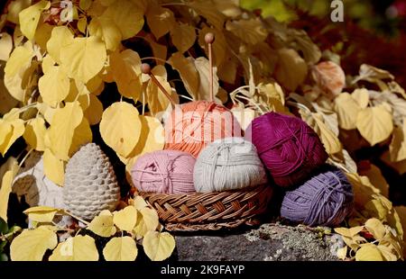 Korb voll von bunten Kugeln aus Garn mit gelben Blättern auf dem Hintergrund Stockfoto