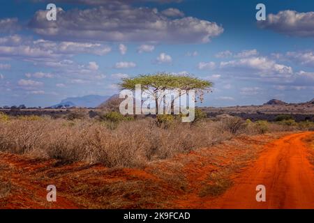 Die Landschaft des Tsavo East National Park, Kenia Stockfoto