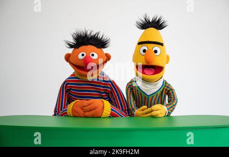 Hamburg, Deutschland. 24. Oktober 2022. Die Figuren Ernie und Bert aus der Sesamstraße, aufgenommen in einem Fotostudio anlässlich des 50.-jährigen Jubiläums der Sesamstraße. Im Januar 2023 feiert die Deutsche Sesamstraße ihr 50.-jähriges Bestehen. Quelle: Daniel Reinhardt/dpa - ACHTUNG: Nur für redaktionelle Verwendung im Zusammenhang mit der Berichterstattung über das Programm "Sesamstraße" und nur bei vollständiger Erwähnung des oben genannten Kredits. Bitte beachten Sie Rechte und Lizenzen von Markeninhabern für darüber hinausgehende Verwendungen./dpa/Alamy Live News Stockfoto