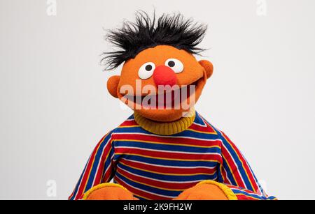 Hamburg, Deutschland. 24. Oktober 2022. Die Figur Ernie aus der Sesamstraße, aufgenommen in einem Fotostudio anlässlich des 50.-jährigen Jubiläums der Sesamstraße. Im Januar 2023 feiert die Deutsche Sesamstraße ihr 50.-jähriges Bestehen. Quelle: Daniel Reinhardt/dpa - ACHTUNG: Nur für redaktionelle Verwendung im Zusammenhang mit der Berichterstattung über das Programm "Sesamstraße" und nur bei vollständiger Erwähnung des oben genannten Kredits. Bitte beachten Sie Rechte und Lizenzen von Markeninhabern für darüber hinausgehende Verwendungen./dpa/Alamy Live News Stockfoto