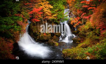 Ryuzu-Wasserfall, Nikko, Japan, Herbst Stockfoto