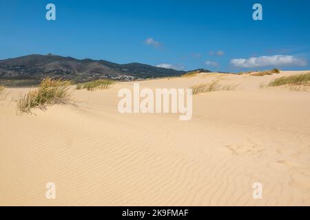 Schöner Blick auf die typischen Sanddünen am Guincho Strand, gelegen in Sintra, Portugal. Stockfoto