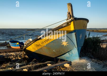 Blick auf alte hölzerne Fischerboote in der Nähe von palaphitischen Docks in Carrasqueira, Portugal. Stockfoto