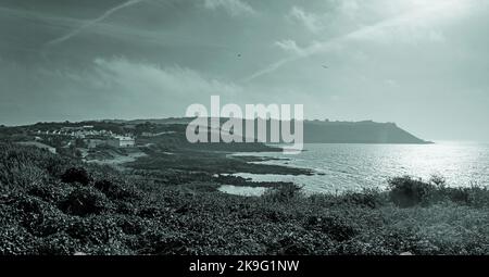 Briefkasten, Panoramaformat Duotone   in die Sonne auf der Ostseite des Plymouth Sound mit Staddon Heights in der Ferne und Clifftop-Pflanzen zum f Stockfoto