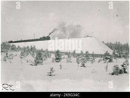 Svartön-Schwanz. Bangård auf Svartön am Bahnhof Luleå. Bereits 1883 begannen die Bauarbeiten für die Luleå Gällivare-Eisenbahn - Luossavaara - Victoriahamn in Svartön bei Luleå. Es dauerte fast 6 Jahre, bis der erste Erzzug 1888 nach Luleå abfuhr. Die Strecke wurde von der Schweden & Norwegen Railway gebaut. Stockfoto