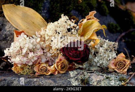 Trockene verblasste Blumen auf einem Stein Stockfoto
