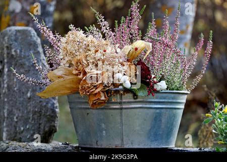 Getrocknete Blumen und calluna auf einem Topf Stockfoto