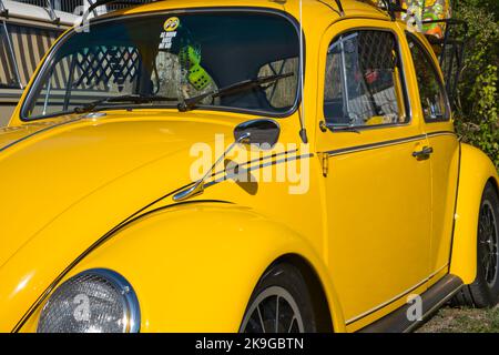 Gelber VW Käfer 1500, produziert von 1966 - 1970, Detailansicht Kotflügel mit klassischem Spiegel Stockfoto