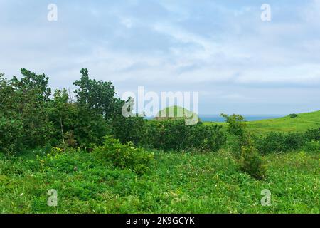 Natürliche Landschaft der Insel Kunashir mit grasbewachsenen Hügeln, vulkanischen Felsen, Vulkan in den Wolken und Ozean in der Ferne Stockfoto