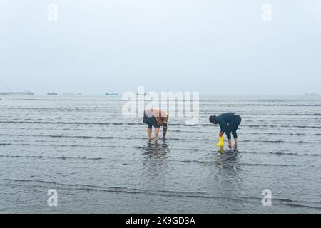 Yuzhno-Kurilsk, Russland - 03. August 2022: Bei Ebbe sammeln die Menschen Muscheln am Ufer vor dem Hintergrund des Hafens und der Fischverarbeitungsanlage Stockfoto