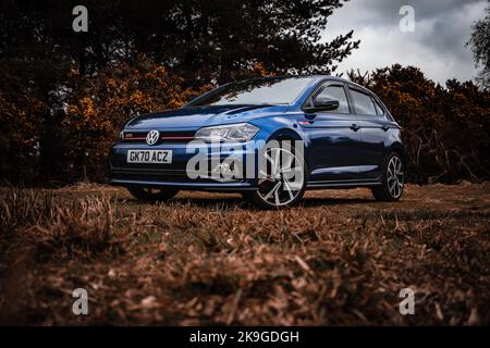 Ein blauer Volkswagen Polo im Wald. Stockfoto