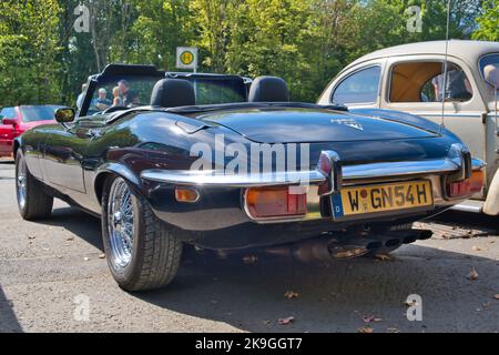 Jaguar e V12, Cabriolet, Oldtimer, abgewinkelte Rückansicht Stockfoto