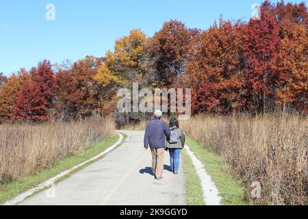 Mann und Frau gehen im Herbst auf dem North Branch Trail in Miami Woods auf einer Wiese Stockfoto