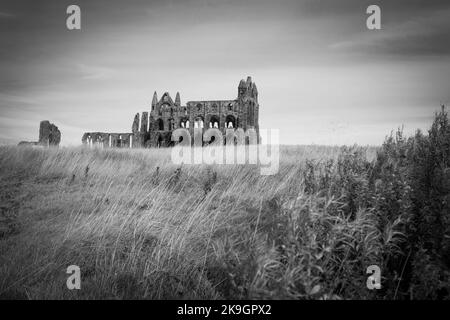 Die Ruinen der Abtei von Whitby in Schwarzweiß, 24.. Oktober 2022 Stockfoto