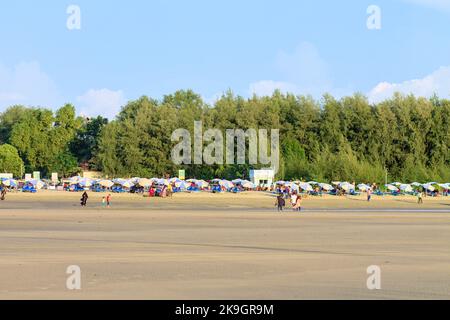 Krabben, Krabben, Krabbenkopf, Auge Stockfoto