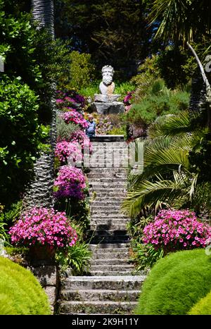Die Statue von Neptun in den Abbey Gardens, Tresco, Isles of Scilly. Stockfoto