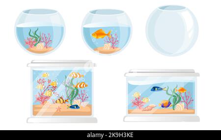 Set von großen Glas-Aquarium mit verschiedenen tropischen Fischen Sandkorallen und Muscheln Vektorgrafik auf weißem Hintergrund Stock Vektor