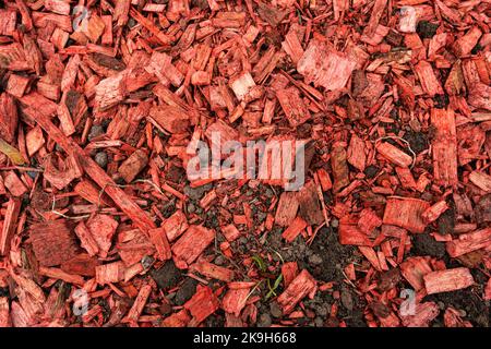 Holzstruktur mit roten Chips, Holzhintergrund, Draufsicht Stockfoto