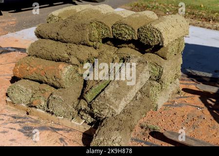 Grüne frische sod Gras in Rollen für Rasen und Designer landschaft eine rolle auf Paletten. Stockfoto