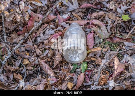 Eine große Plastikflasche, die entlang des Wanderweges auf einem Stapel gefallener Blätter im Wald liegt, wurde achtlos weggeworfen, um die Umwelt in der Nähe zu verschmutzen Stockfoto