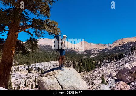 Blick auf Mount Whitney (14.505 Fuß), Sequoia-Kings Canyon National Park, Pacific Crest Trail, USA Stockfoto