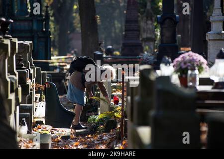 Eine ältere Frau verbrennt Kerzen auf einem Grab auf dem historischen Powazki-Friedhof in Warschau. Der Allerheiligste Tag, der am 1.. November stattfindet, ist ein Feiertag in Polen und einer der wichtigsten katholischen Feiertage im Laufe des Jahres. Diejenigen, die ihre Angehörigen verloren haben, gehen auf die Friedhofs, um den Toten ihre Achtung zu erweisen. Sie brennen Kerzen auf den Gräbern und bringen Blumen. Es wird manchmal auch als der Tag der Erinnerung an die, die gegangen sind, bezeichnet. Stockfoto